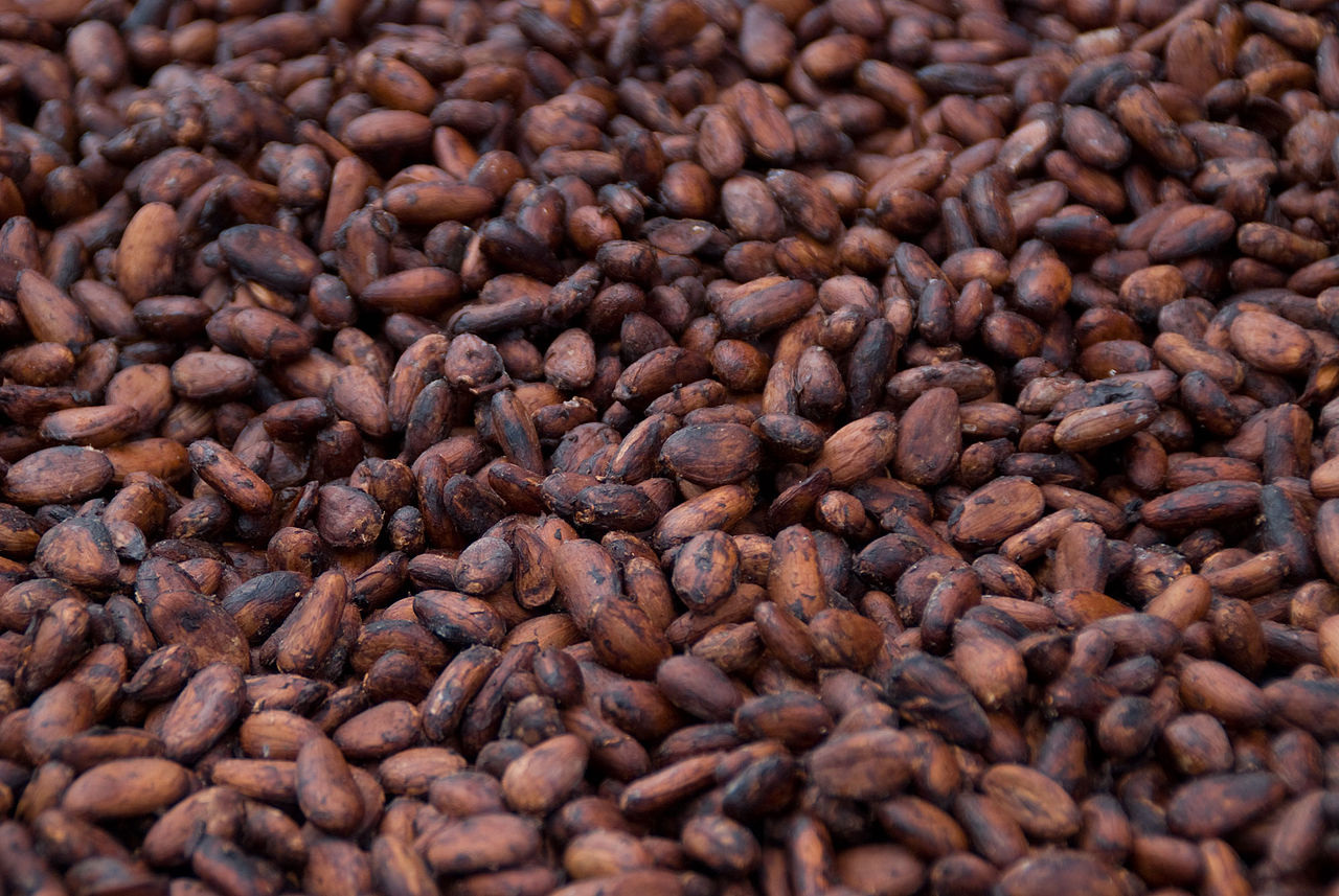 Ghana ABOCFA Organic Cacao Cocoa Beans 1kg