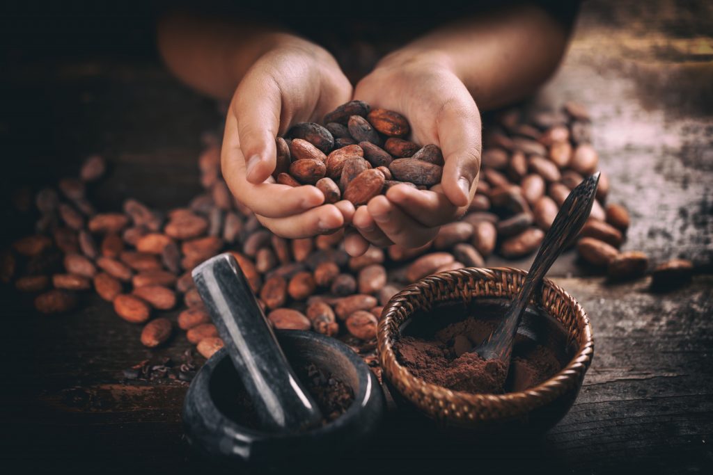 Organic Venezuelan Criollo Cocoa Beans Wholesale