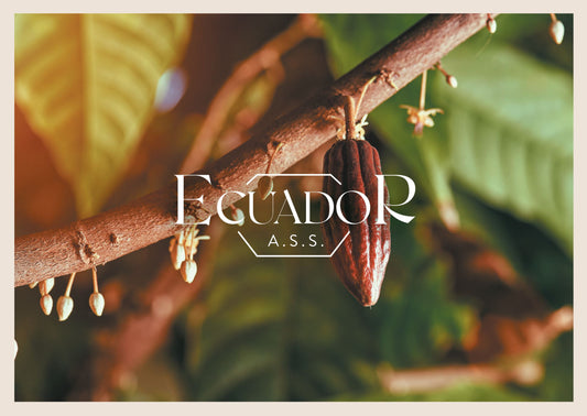 Arriba Superior Selecto (A.S.S.) - Ecuador