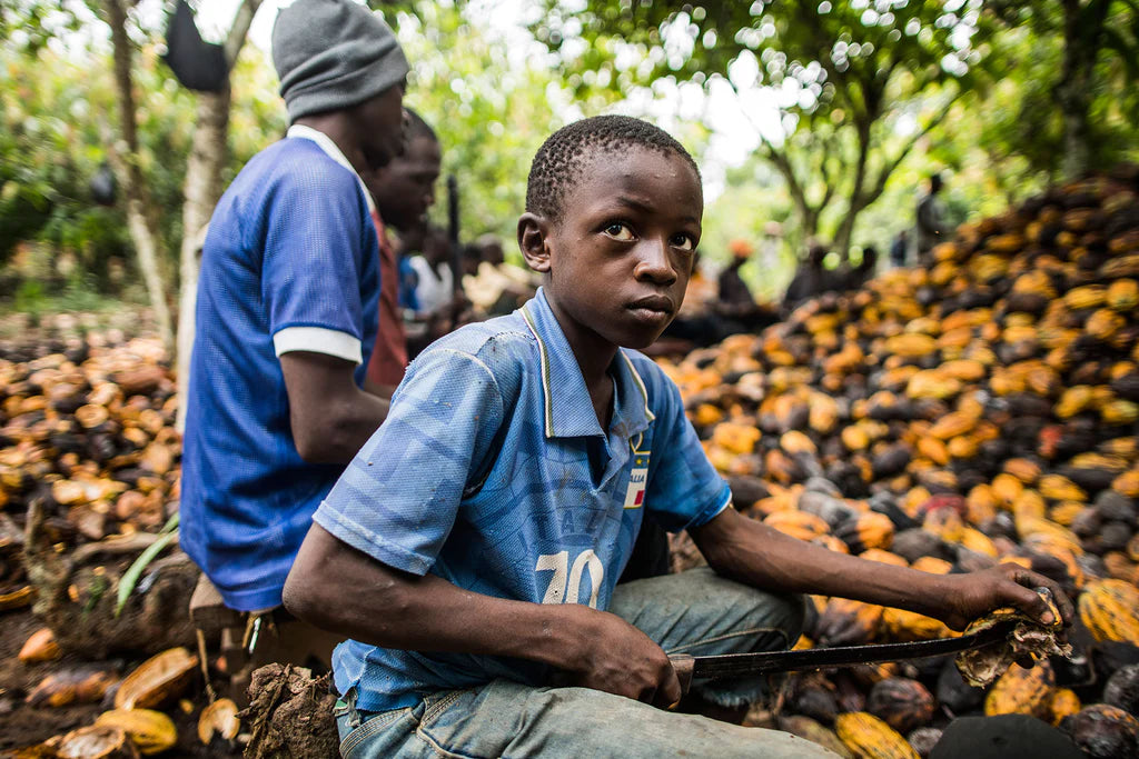 Has the cocoa slave trade improved?