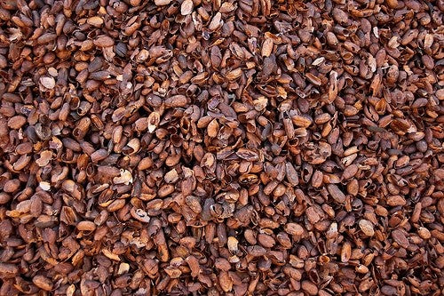 What is cocoa husk or shell?