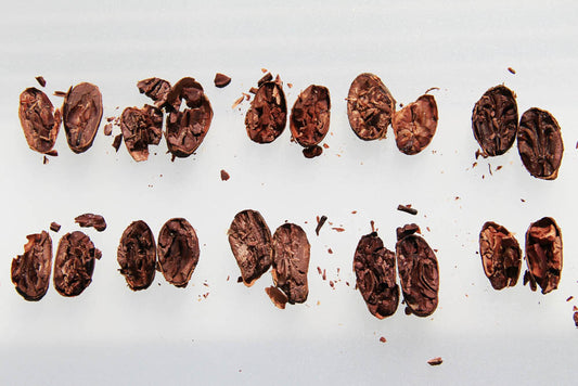 What is a Cacao Bean made of?