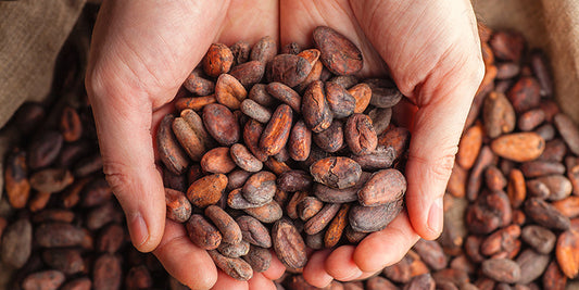 What is 'Direct Trade Cacao'?
