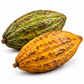 Dried Cocoa Pods – Natural Decorative Cacao Fruit
