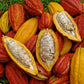 Single Origin Peruvian Ceremonial Cacao Mass 250g