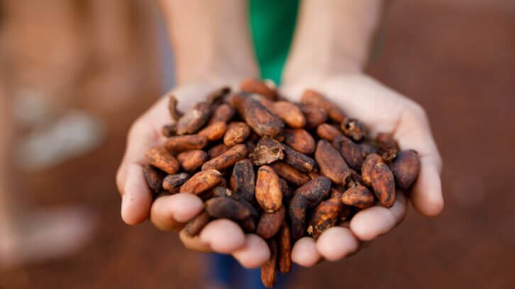 Single Origin Peruvian Ceremonial Cacao Mass 250g