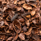 Premium Cocoa Shells (Husks) | Food Grade Roasted Cacao for Tea, Brewing & Baking