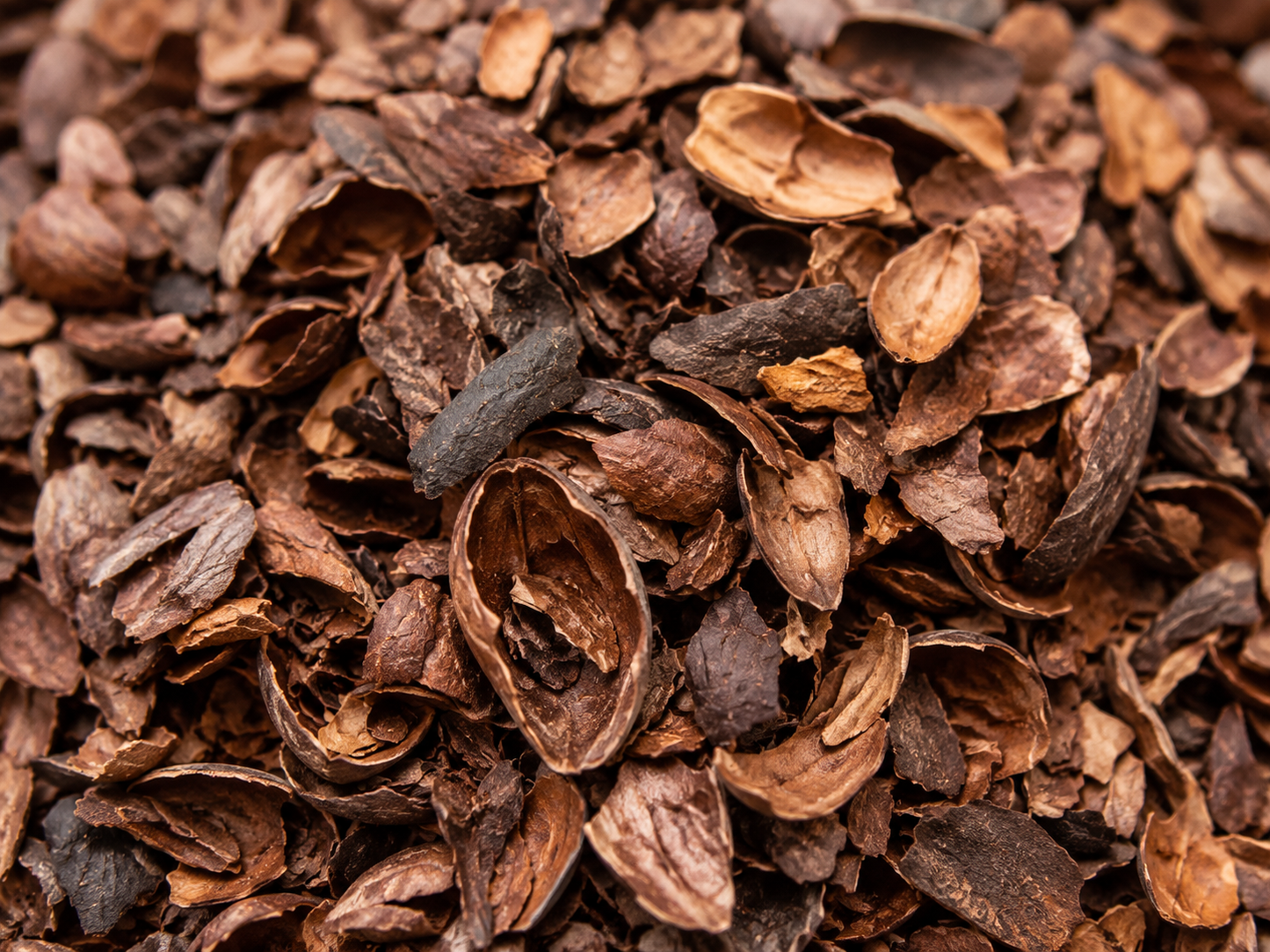Premium Cocoa Shells (Husks) | Food Grade Roasted Cacao for Tea, Brewing & Baking
