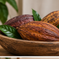 Dried Cocoa Pods – Natural Decorative Cacao Fruit