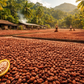 Single Origin Peruvian Ceremonial Cacao Mass 250g