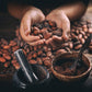 Organic Venezuelan Criollo Cocoa Beans Wholesale