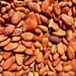 Mexico Lavado Unfermented Tabasco Ceremonial 100% Cacao Xocolatl Mass