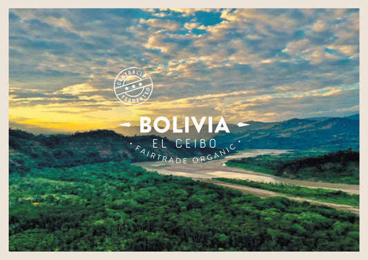 Bolivie El Ceibo Fèves de cacao
