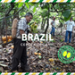 Brazil CEPOTX Cacao Cocoa Beans 1kg