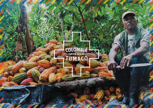 Fèves de cacao Tumaco de Colombie