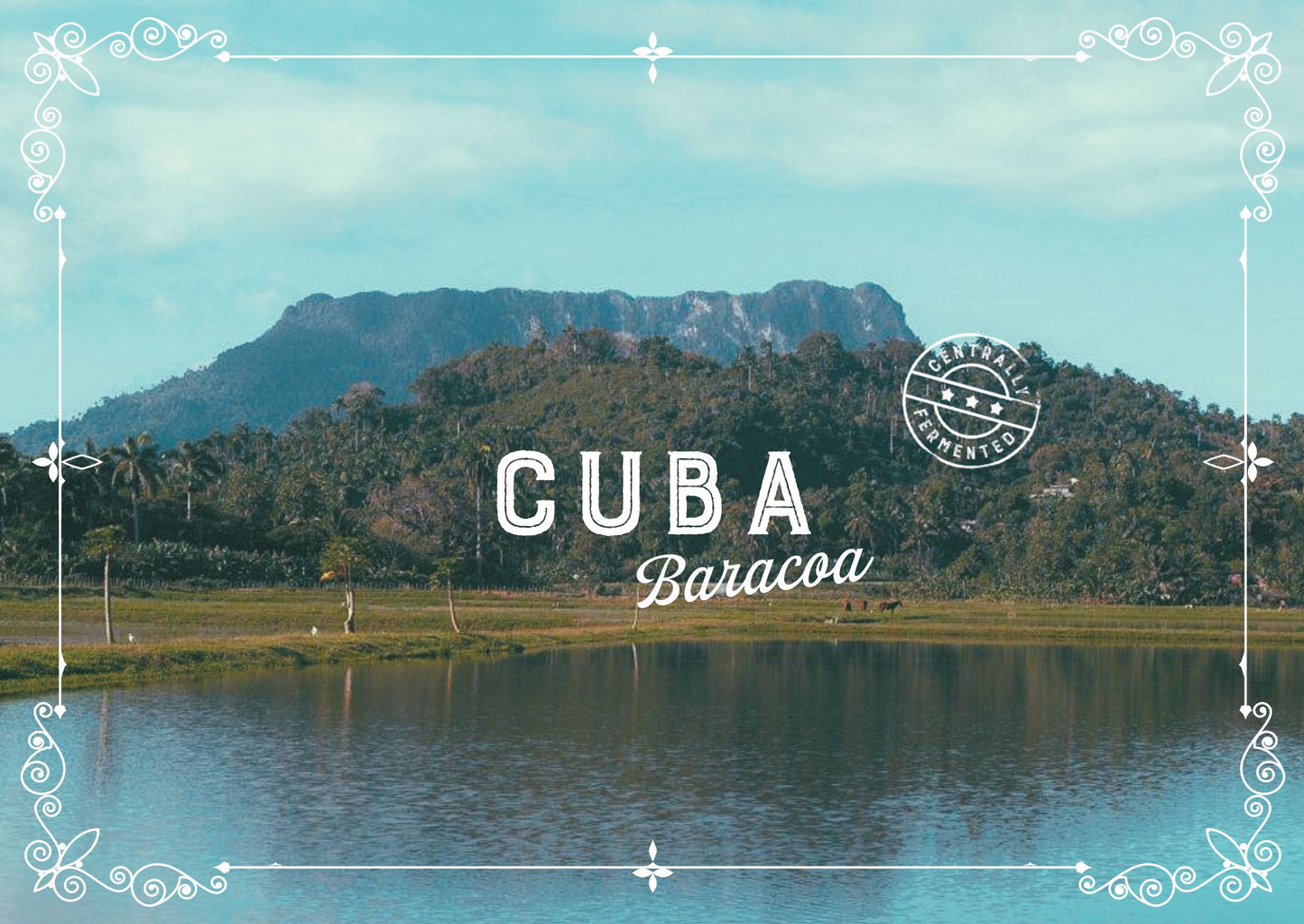 Cuba Baracoa Cacao Cocoa Beans 1kg