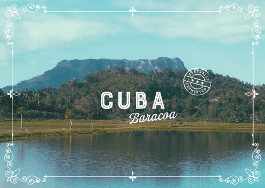 Cuba Baracoa Cacao Cocoa Beans 1kg