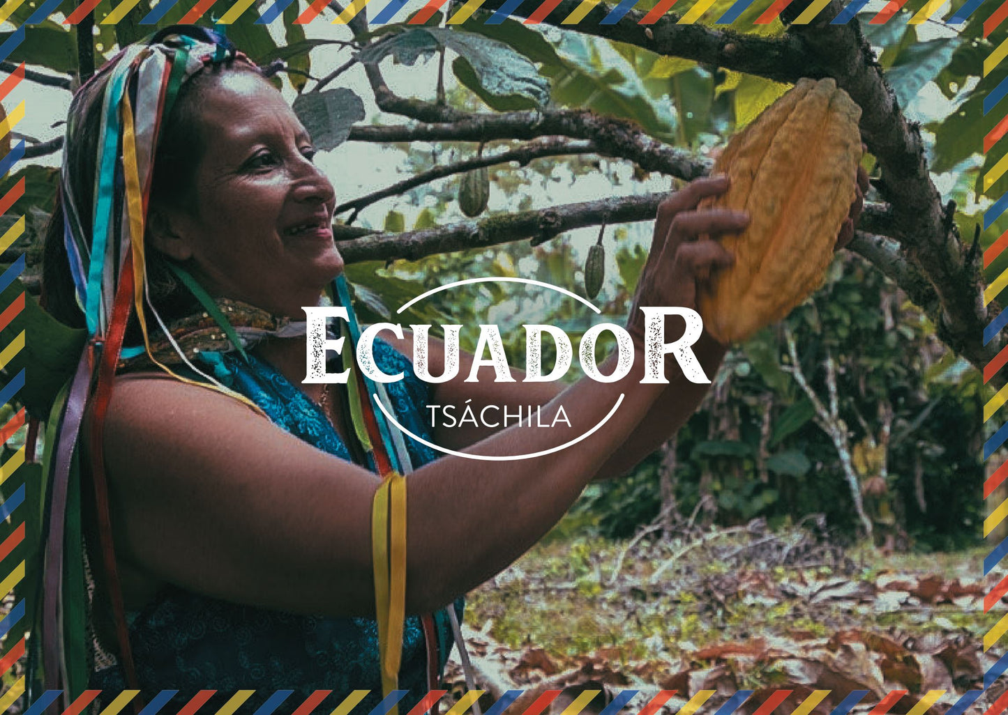 Fèves de cacao Tsáchila d'Équateur