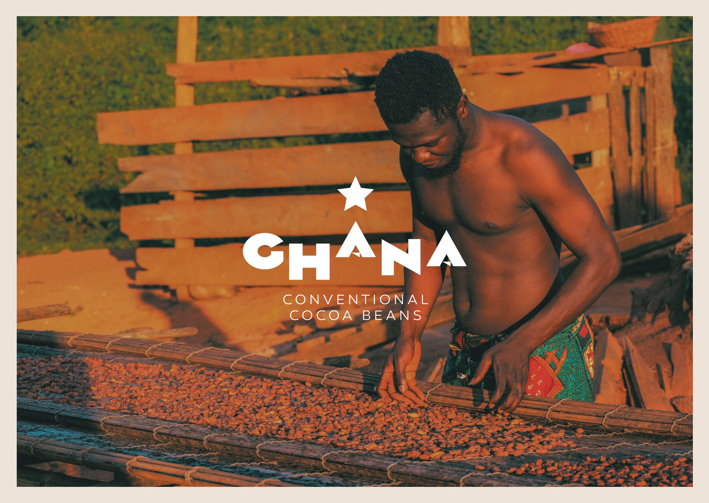 Fèves de cacao conventionnelles du Ghana