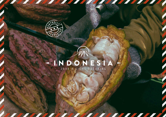 Indonesia Java A 40% light breaking Cacao Cocoa Beans 1kg