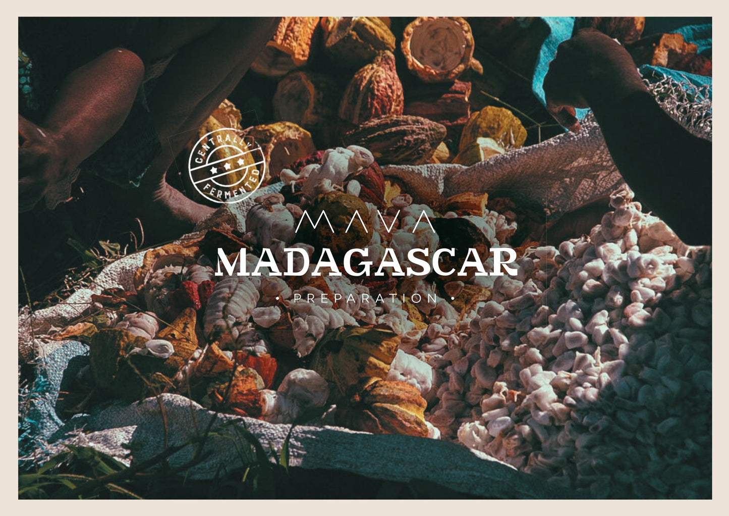 Madagascar Mava Préparation Fèves De Cacao