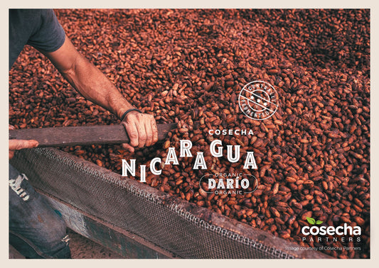 Nicaragua Cosecha Partners Dario Cacao Cocoa Beans Organic 1kg