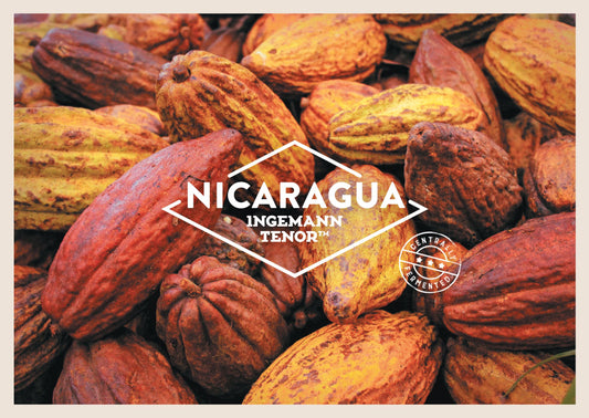 Nicaragua Ingemann Tenor Cacao Cocoa Beans 1kg