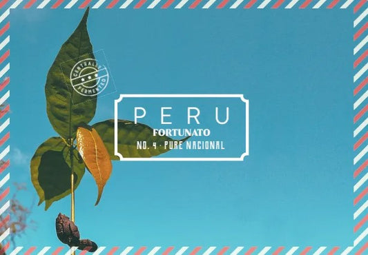 Pérou Marañón Pure Nacional Cacao Beans