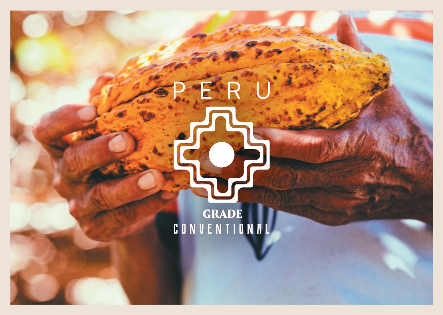 Peru Conventional Cacao Cocoa Beans 1kg