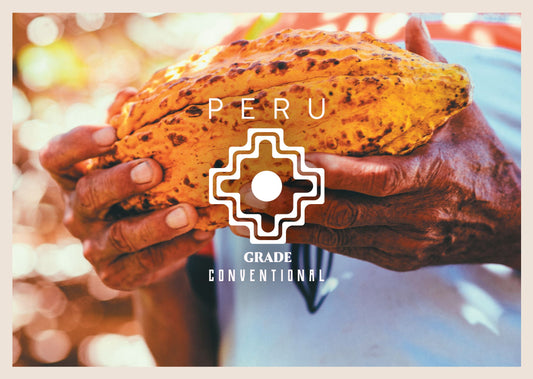 Fèves de cacao conventionnelles du Pérou