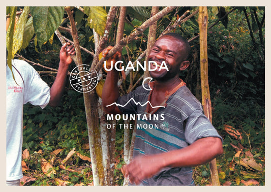 Uganda Mountains of the Moon Organic Cacao Cocoa Beans 1kg