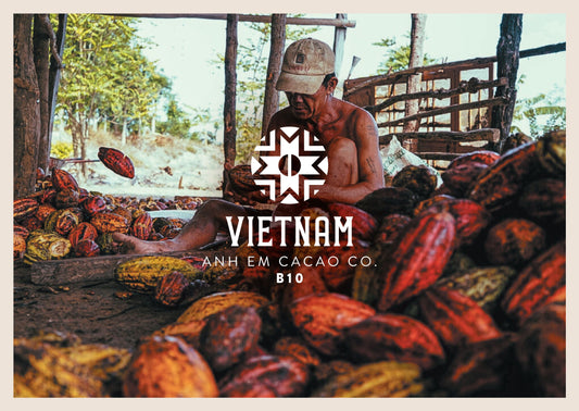 Fèves de cacao Vietnam Anh Em B10