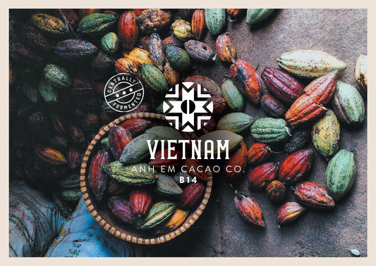 Vietnam Anh Em B14 Fèves de cacao