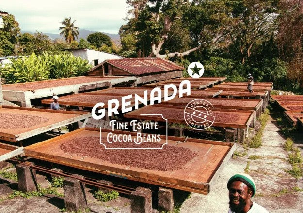 Fèves de cacao Grenada Fine Estate